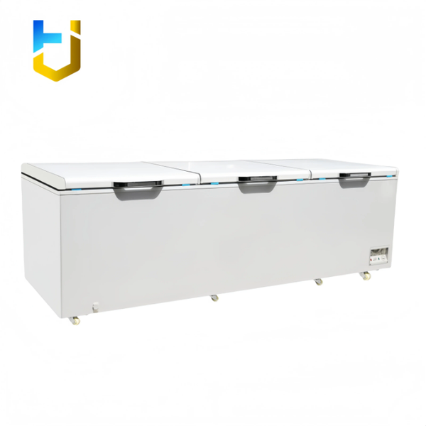 Congélateur coffre professionnel