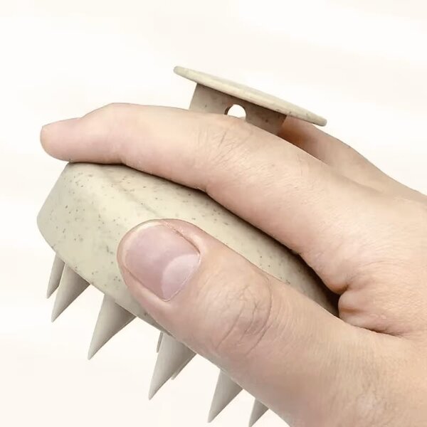 Brosse de Massage Capillaire