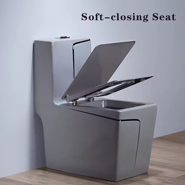 Luxurious modern symphonic Water Closet