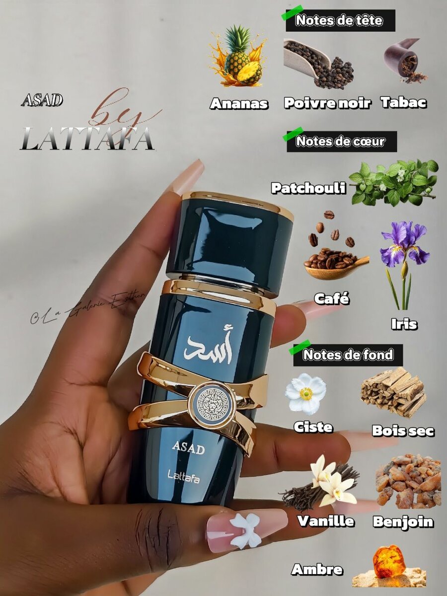 Asad Zanzibar /Asad by Lattafa