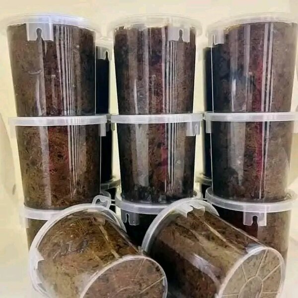 Bénie Gloire lumière 