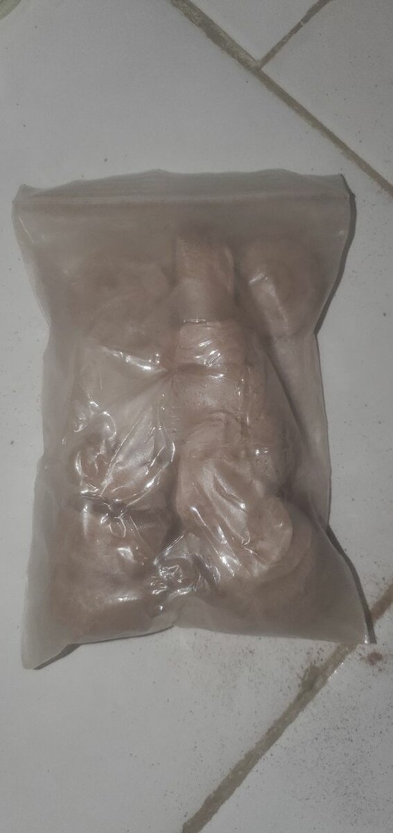 bouchons démarrage de graine