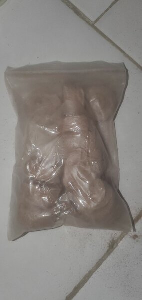 bouchons démarrage de graine