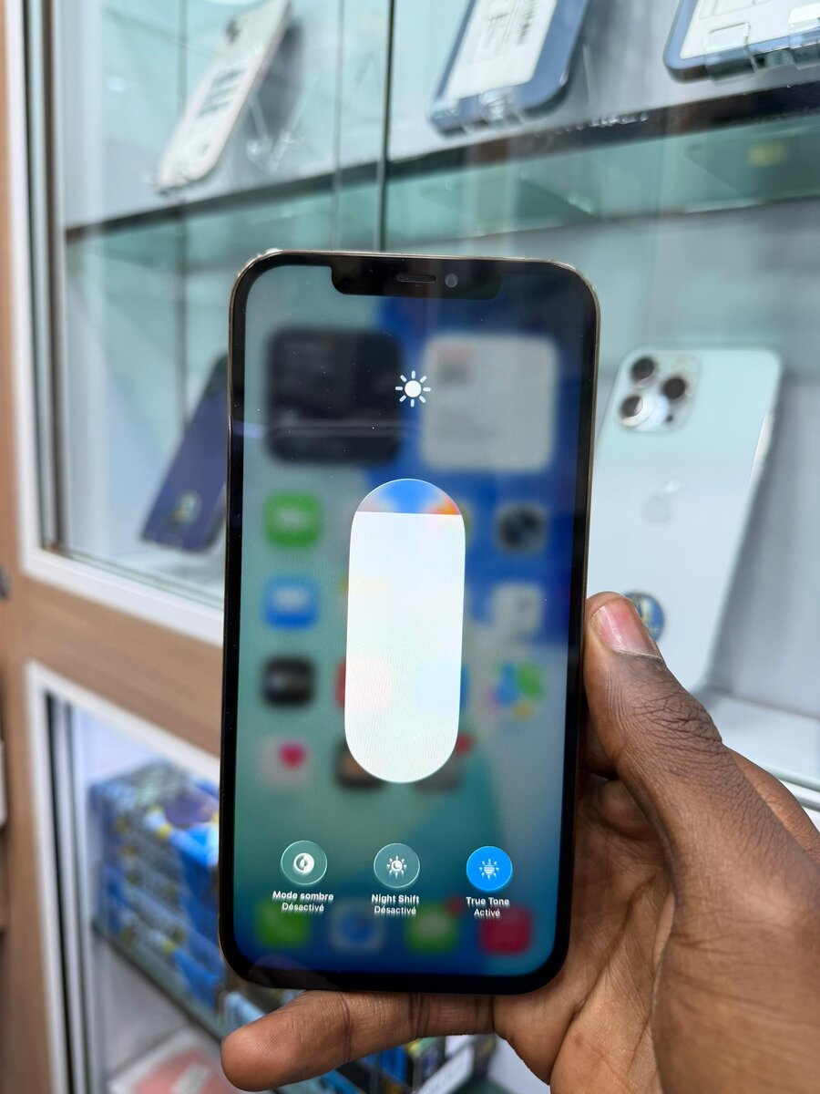 12 pro max 128Go sans ID