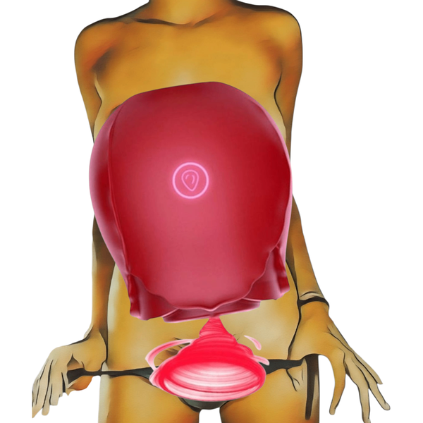 Sextoys Clito et Sein SN09