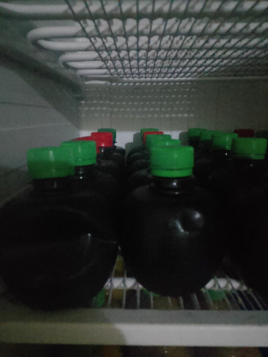 Boissons maison fraîches