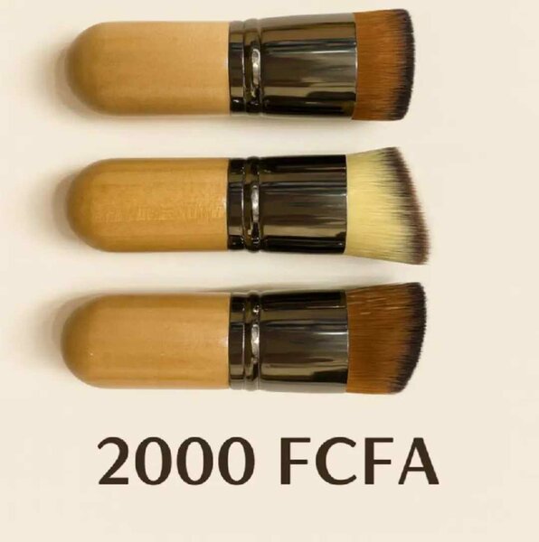 Pinceaux Maquillage Professionnels