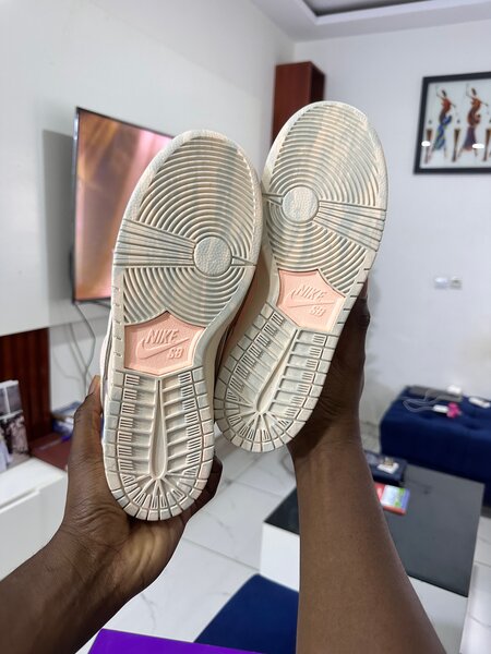 Nike SB Dunk Low "Trocadéro"