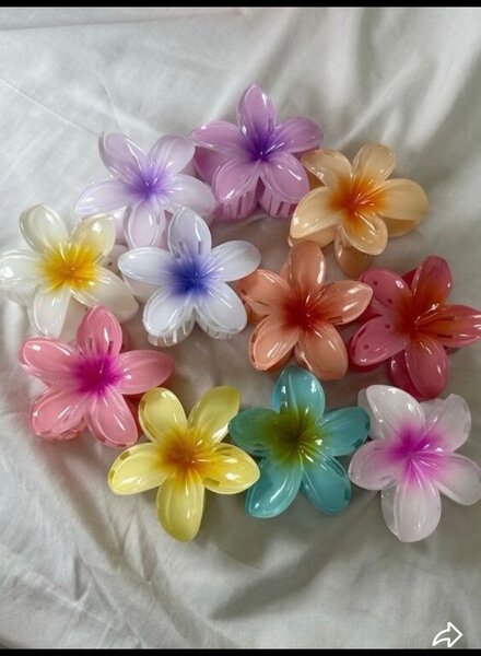 Pinces à cheveux fleur colorée