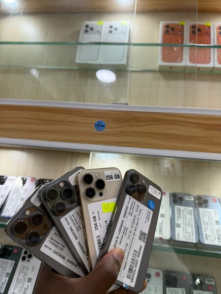 iPhone 13 Pro Max 256GB