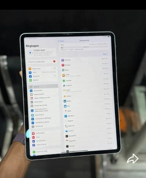 iPad Pro 12.9 pouces 256Go