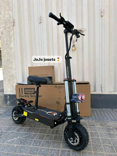 Trottinette électrique Double Moteur