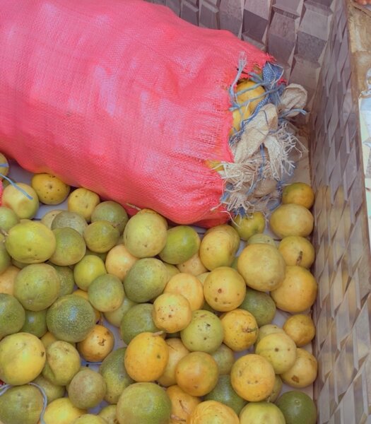 Fruits de passion 10 kilos