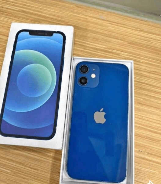 iPhone 12 Bleu neuf