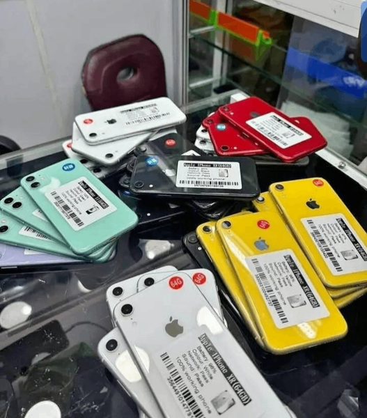 iPhone Occasion Couleurs Variées