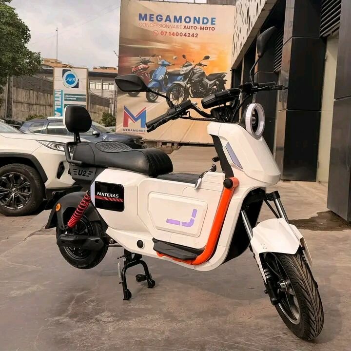 Scooter électrique PINTADAS