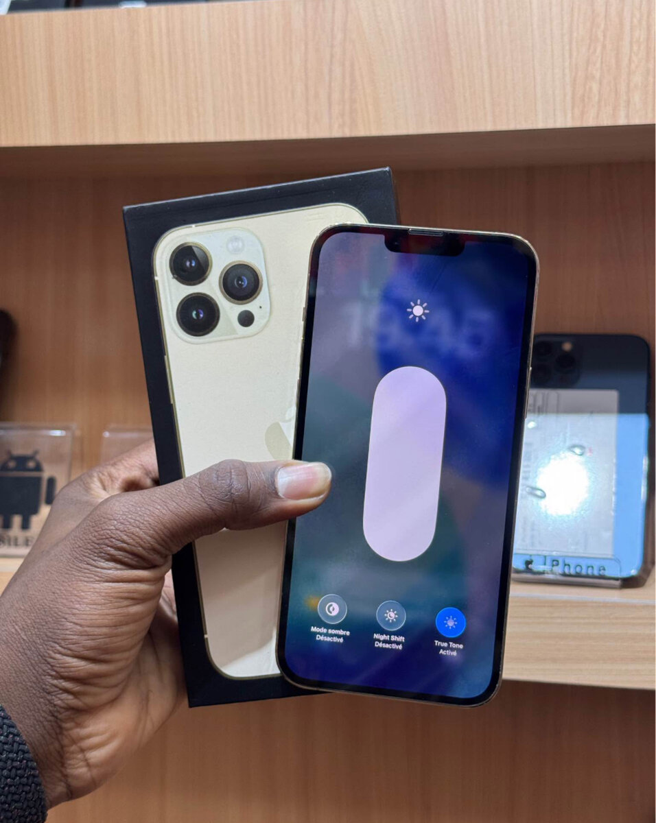 iPhone 13 Pro Max 256GB Doré