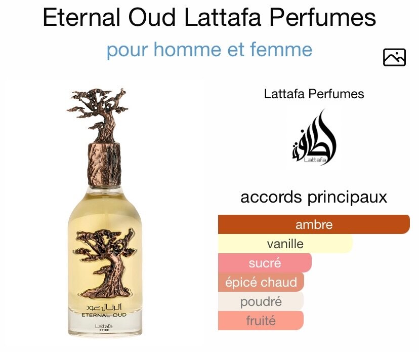 Eternal Oud Parfum Mixte