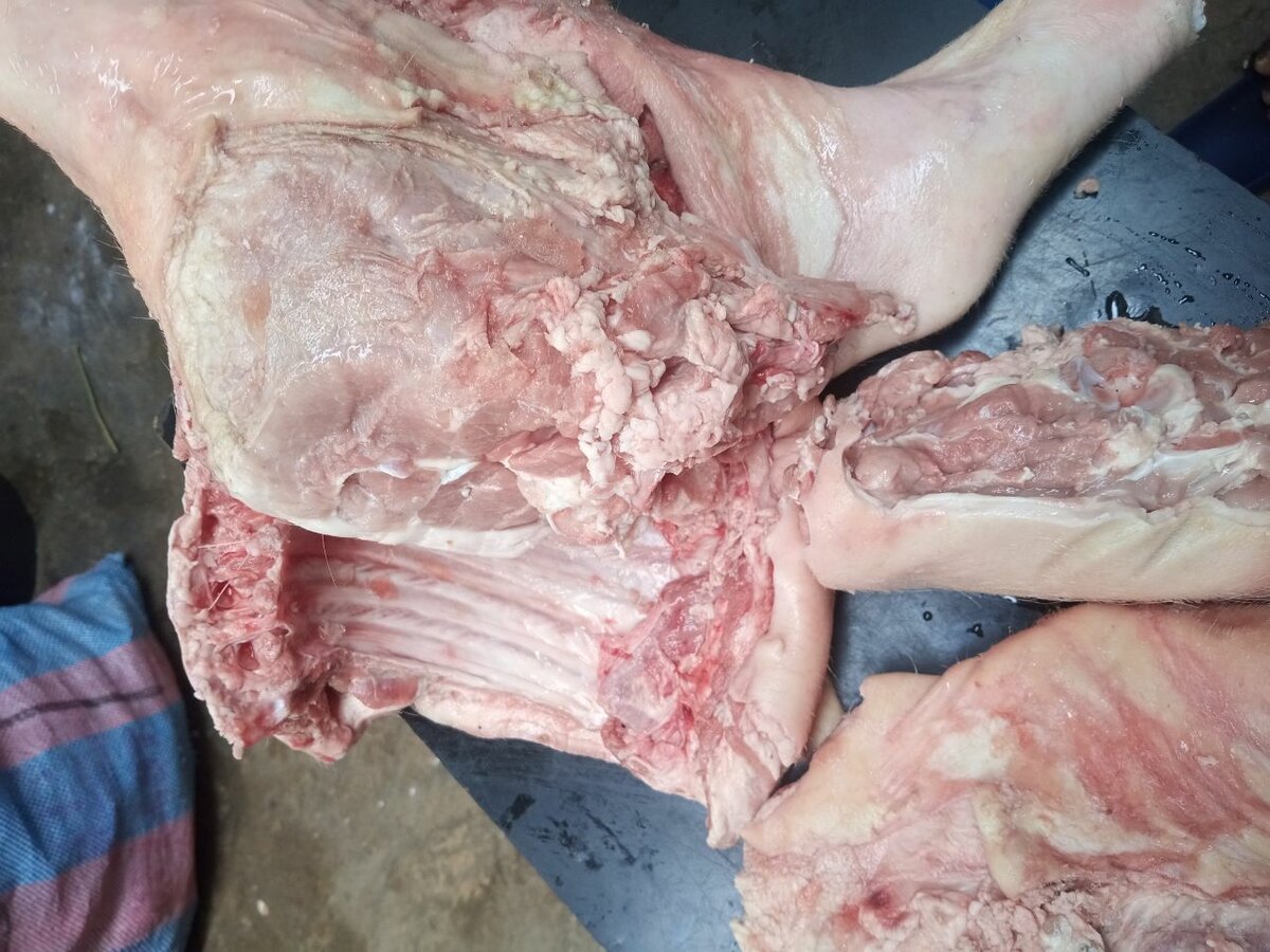 Viande de porc africain