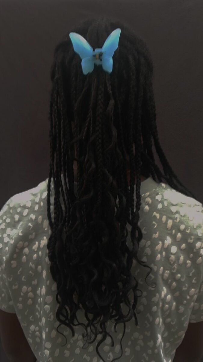 Clip Pince Papillon Colorée