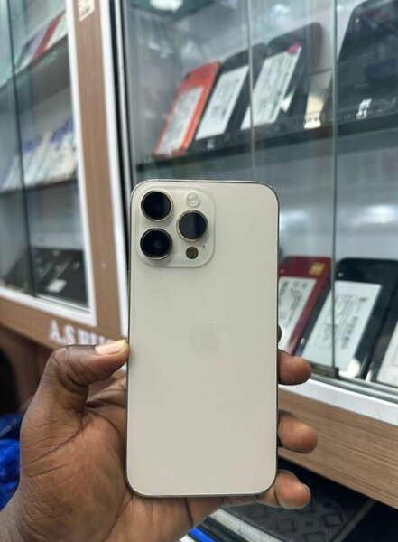 iPhone 13 Pro Max 256 Go