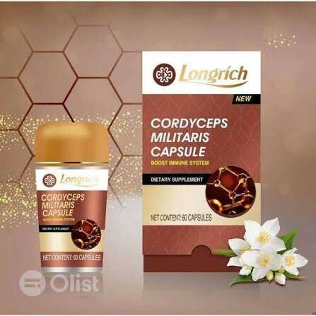 Capsules Cordyceps Militaire