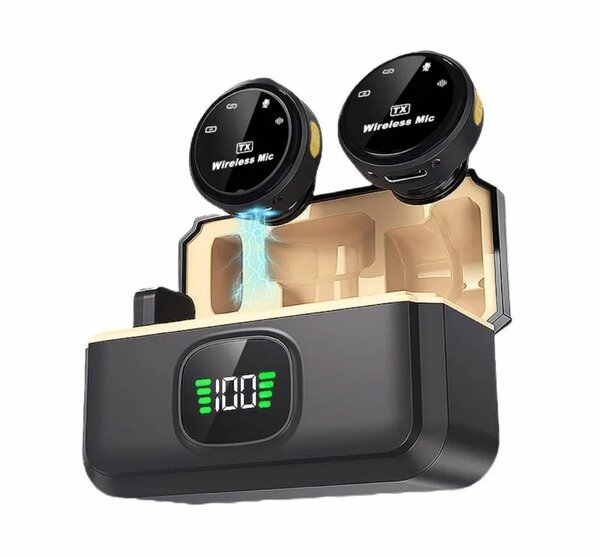 Microphone Professionnel