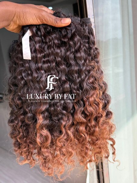 Extensions Burmese raw ombrées