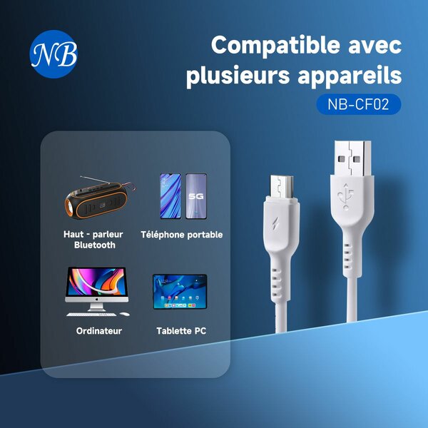 Câble Micro USB Chargement Rapide