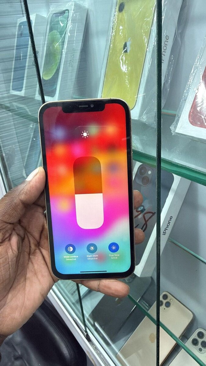 iPhone 12 Pro Max 256 Go