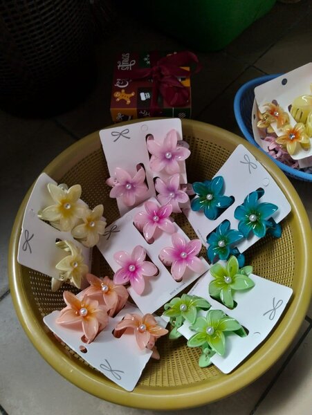 Pinces à cheveux fleurs