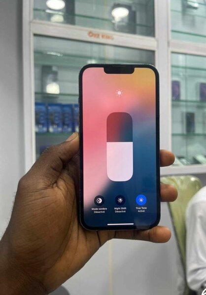 iPhone 13 Pro 256GB Bleu