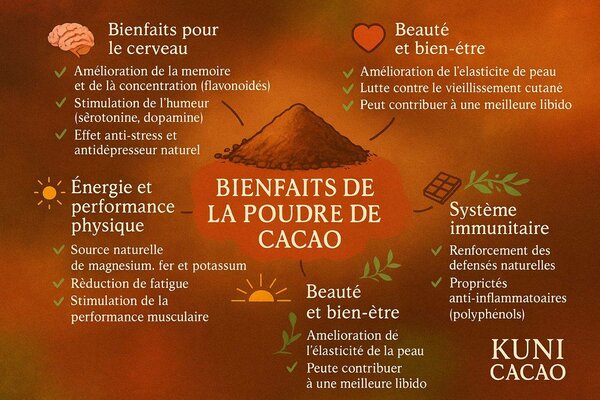 Poudre de Cacao Naturelle Bio