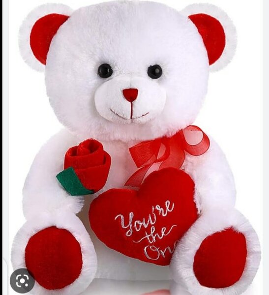  nounours
