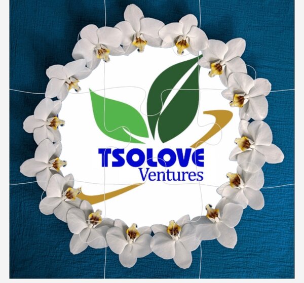 Tsolove Ventures 
