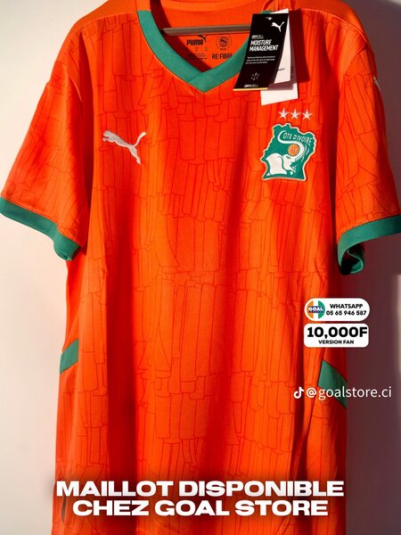 Maillot Côte d'Ivoire Puma Officiel