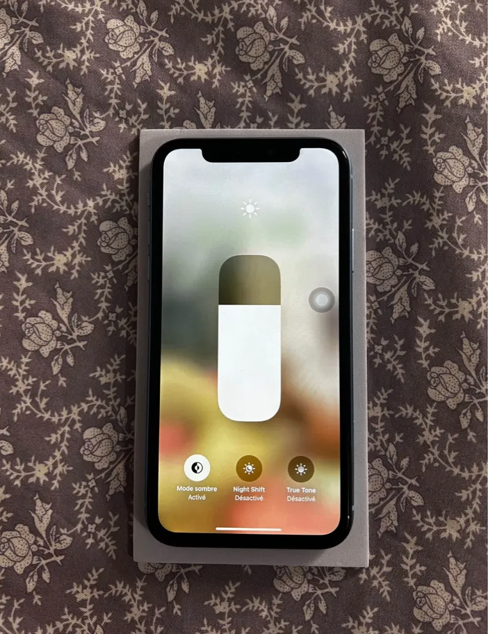 iPhone XR Bleu Débloqué