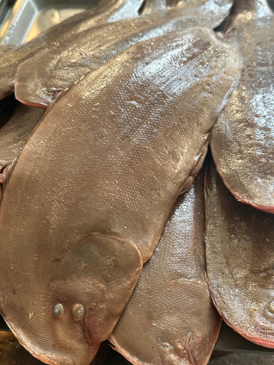 Sole locale Poisson frais mer