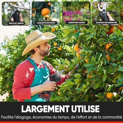 Sécateur électrique.