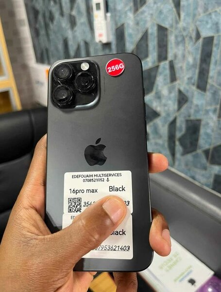 iPhone 16 Pro Max 256 Go