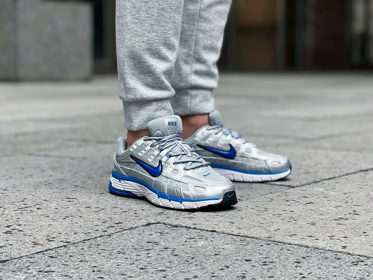 Nike Air Zoom Pegasus