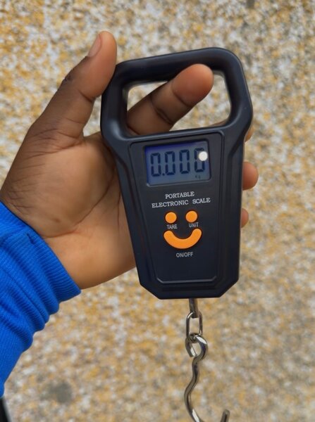 Balance électronique portable