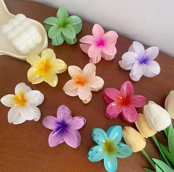 Pinces à cheveux fleurs colorées