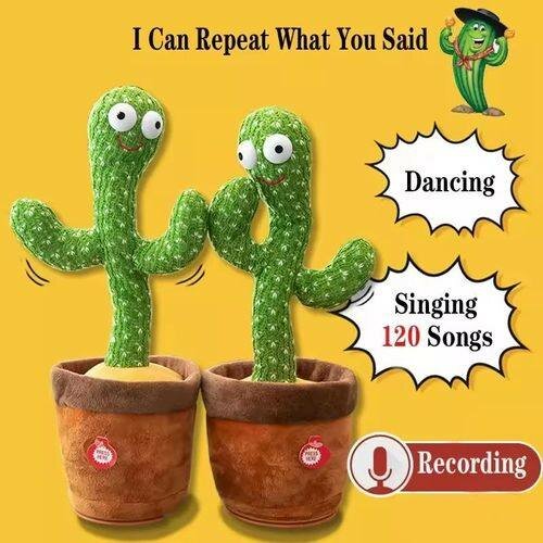 Cactus danseur musical