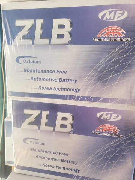ZLB Maintenance Free Battery