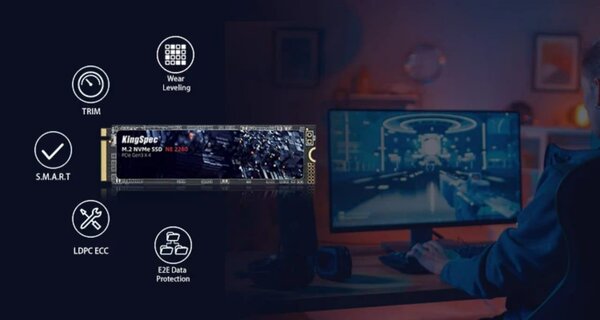 Disque dur M2 NVME (256GB)