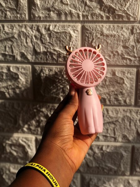 Handheld mini fan