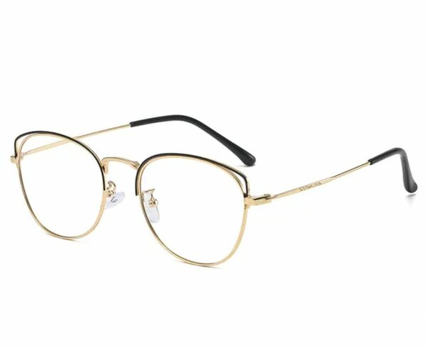 Lunettes à monture dorée stylées