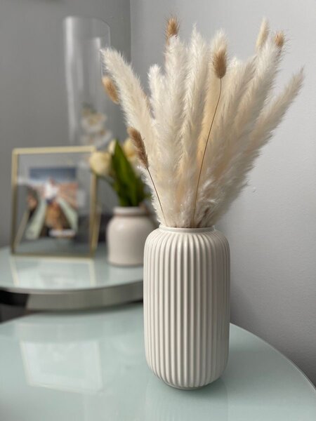 Pampas séchées décoratives