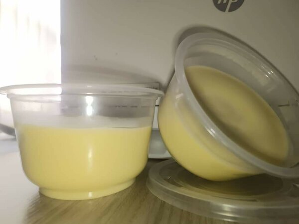 Pots de beurre de karité